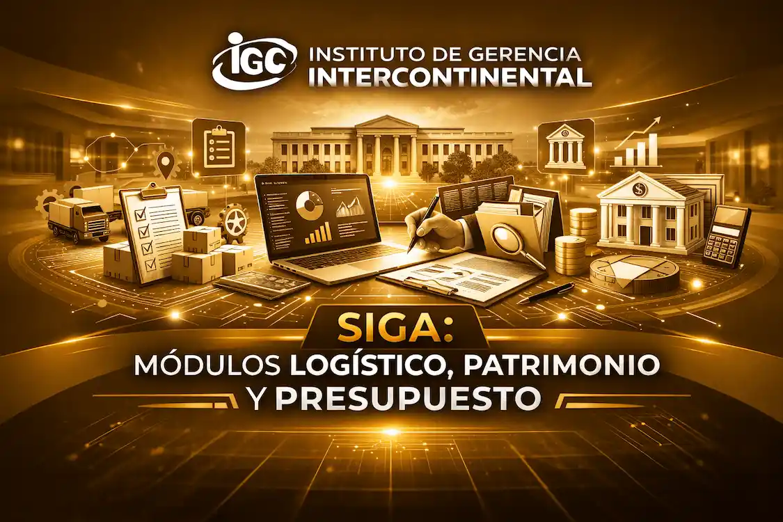 Imagen de SIGA_ Módulos Logístico, Patrimonio y Presupuesto